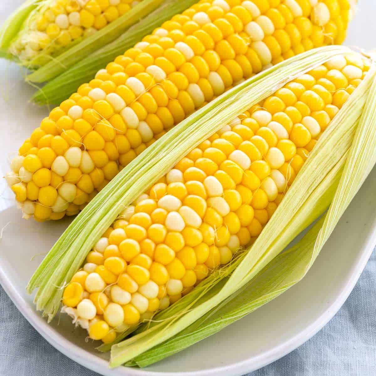 Master Boiling Corn on the Cob: The Foolproof Guide for Perfection